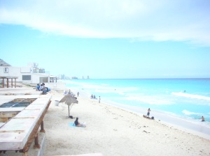 Playa Marlin1